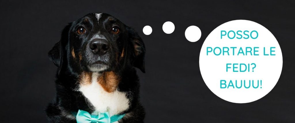 cane porta le fedi